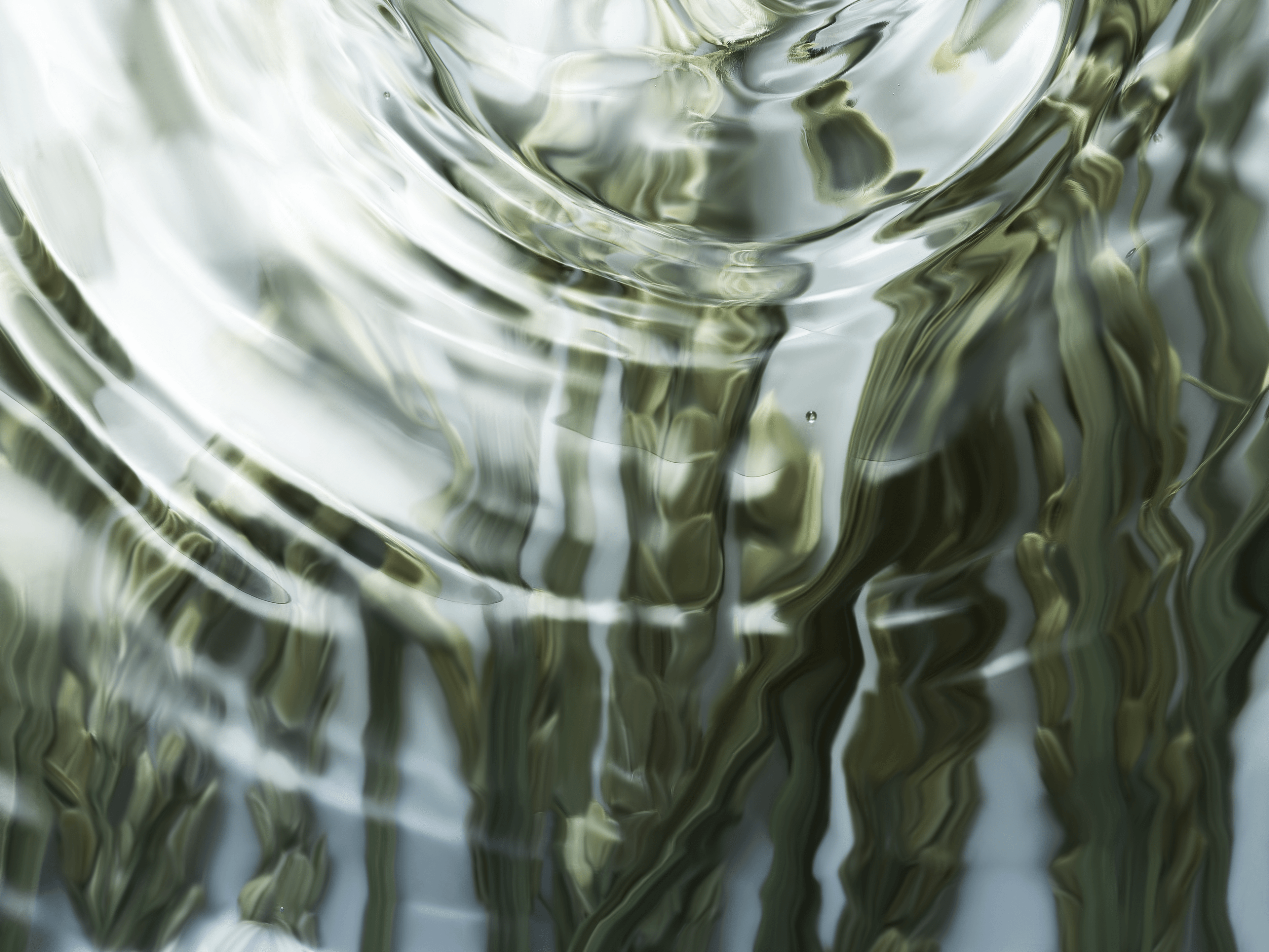 研究センター - スライド3